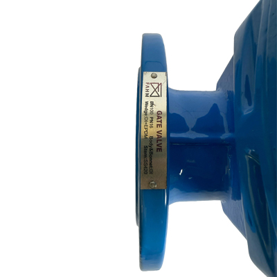 DI GATE VALVES manufactures in India